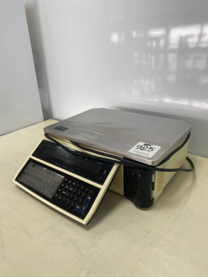 Весы с печатью DIGI SM-100. А925