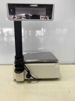 Весы с печатью DIGI SM-100 Р. А234