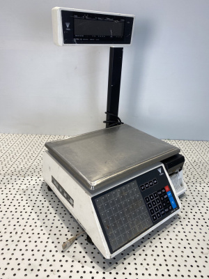 Весы с печатью DIGI SM-100. 2042