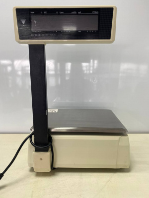 Весы с печатью DIGI SM-100 Р. А169