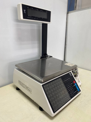 Весы с печатью DIGI SM-100 Р. А232