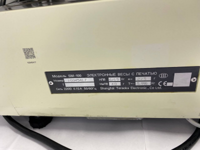 Весы с печатью DIGI SM-100 Р. А240