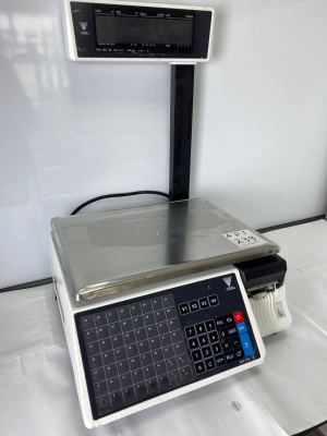 Весы с печатью DIGI SM-100 Р. А239