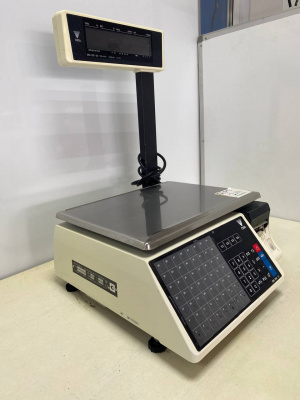 Весы с печатью DIGI SM-100 Р. А211