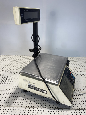 Весы с печатью SM-100 Р. 2038