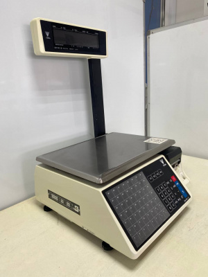 Весы с печатью DIGI SM-100 Р. А169
