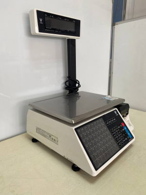 Весы с печатью DIGI SM-100 Р. А177