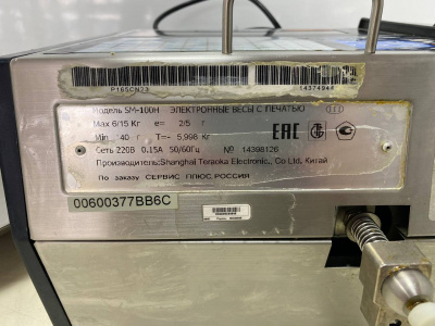 Весы подвесные DIGI SM-100 H. А218