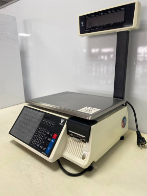 Весы с печатью DIGI SM-100 Р. А169