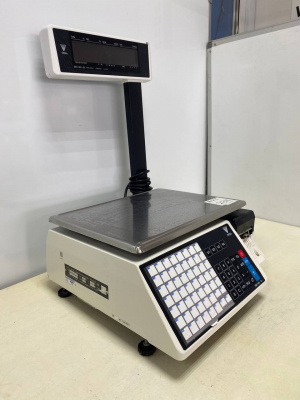Весы с печатью DIGI SM-100 Р. А234