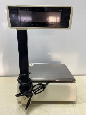 Весы с печатью DIGI SM-100 Р. А219