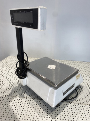 Весы с печатью DIGI SM-100. 2064
