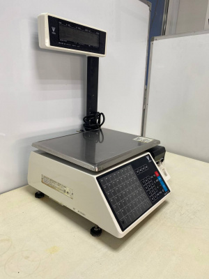 Весы с печатью DIGI SM-100 Р. А212